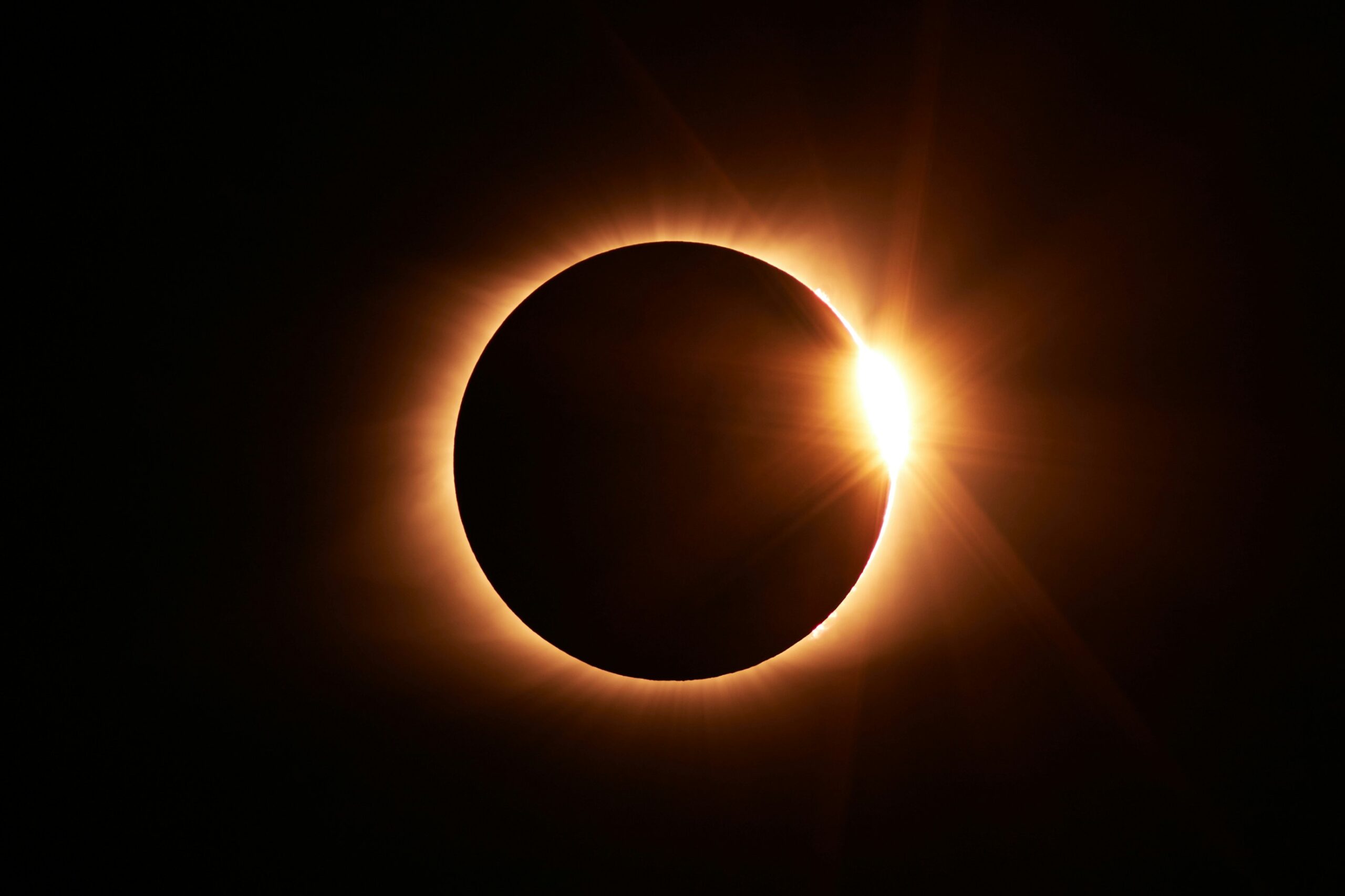 Solar Eclipse Los Angeles 2024 Corie Shandy